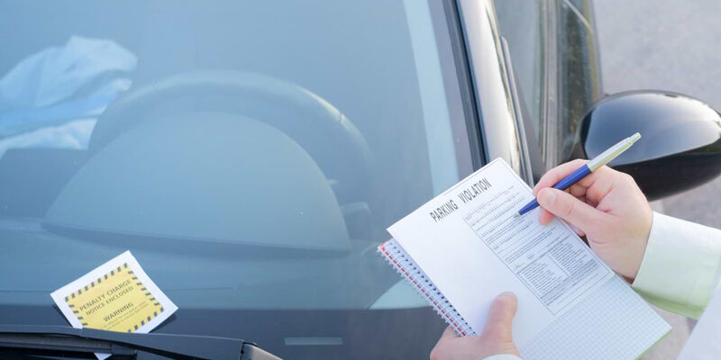 mutas_lejos_de_casa_1640347047