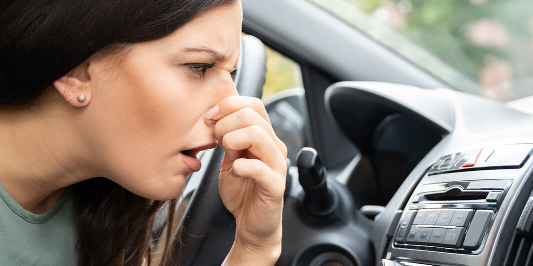 Woman Covering Her Nose From Bad Smell Inside The Car