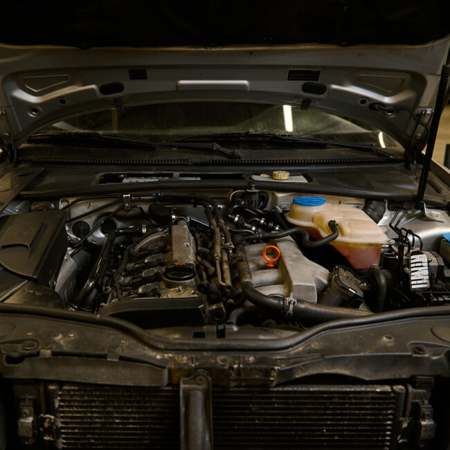 ¿Tienes un coche con motor de gasolina?