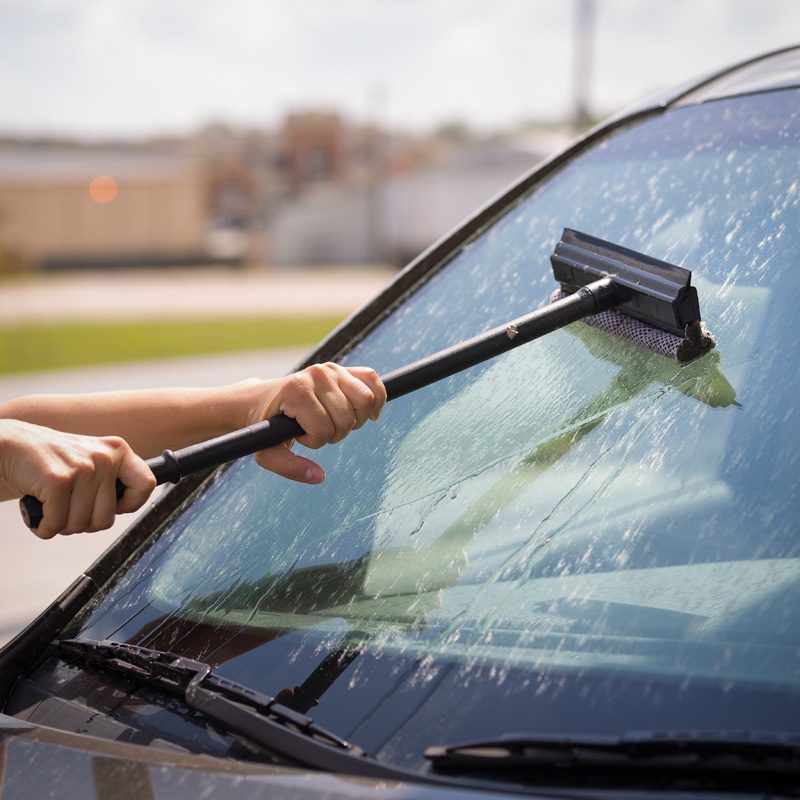 Cómo mantener el coche limpio de insectos y no dañar ni el parabrisas ni la carrocería
