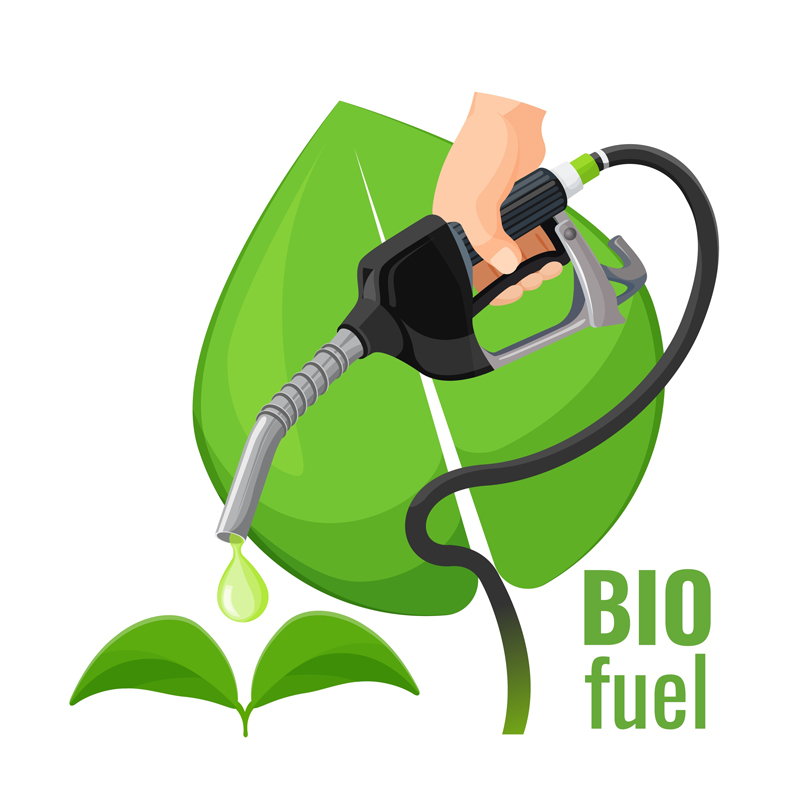 ¿Son los combustibles sintéticos y 'bio' una alternativa real al eléctrico?
