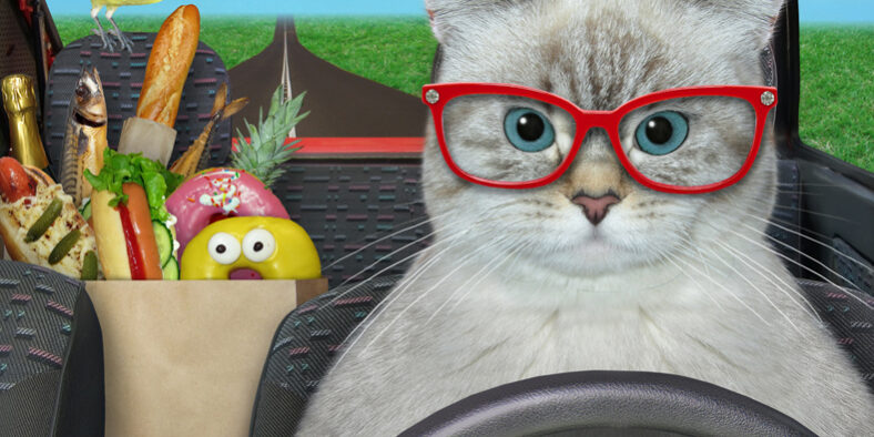 ¿Pueden multarte por llevar la compra en el asiento trasero de tu coche? ¿Pueden multarte por llevar la compra en el asiento trasero de tu coche?