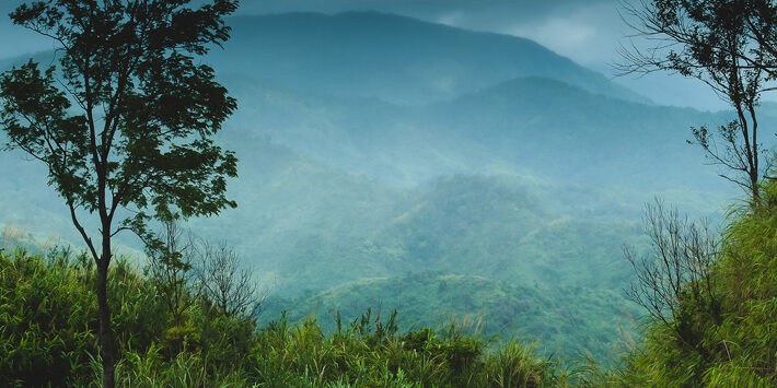 Si te encuentras con otro vehículo en una carretera estrecha, ¿quién tiene prioridad? Si te encuentras con otro vehículo en una carretera estrecha, ¿quién tiene prioridad?