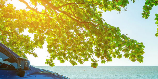 Los errores más comunes que cometemos los conductores en verano ¡Evítalos! Los errores más comunes que cometemos los conductores en verano ¡Evítalos!